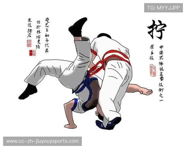 MMA摔跤技巧瞬间定胜负，掌握这几招决胜于千里之外